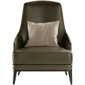 High quality luxury chair 2023 furniture for modern homes